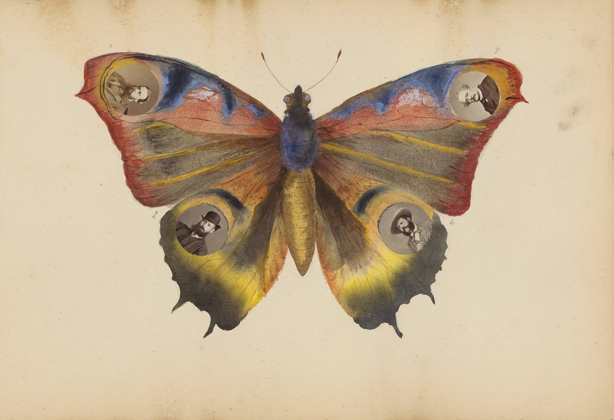 Slip (NaPoWriMo Day 6)