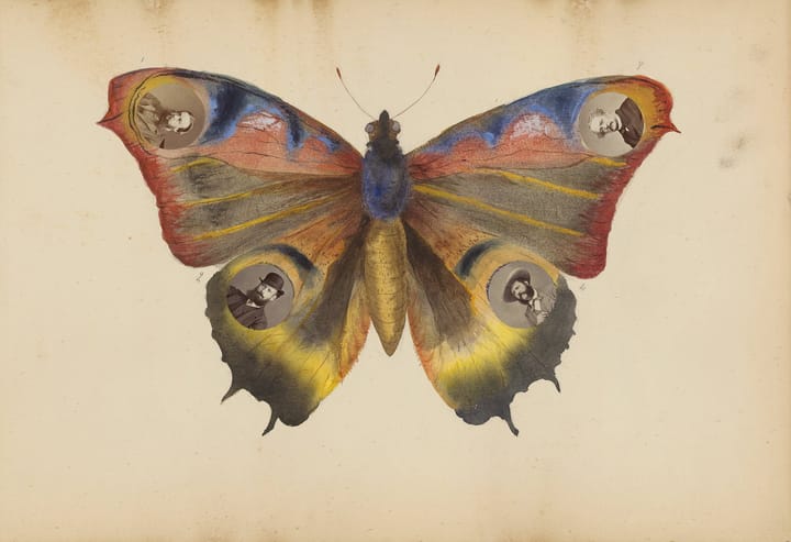 Slip (NaPoWriMo Day 6)